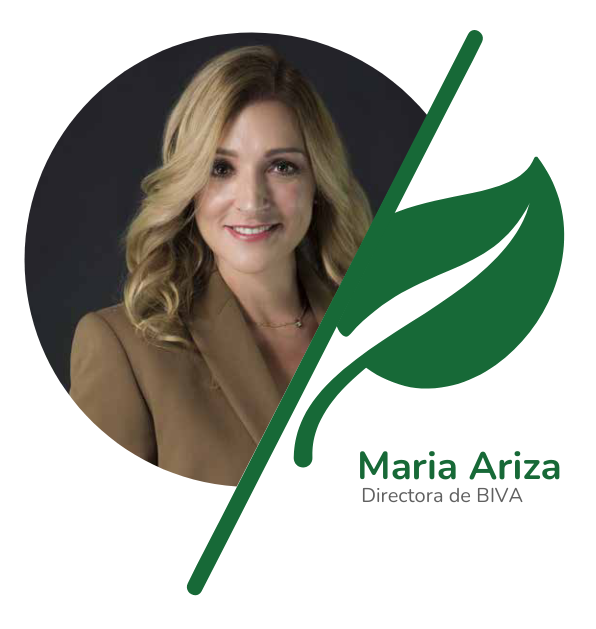 Portal BIVA - Bolsa Institucional de Valores